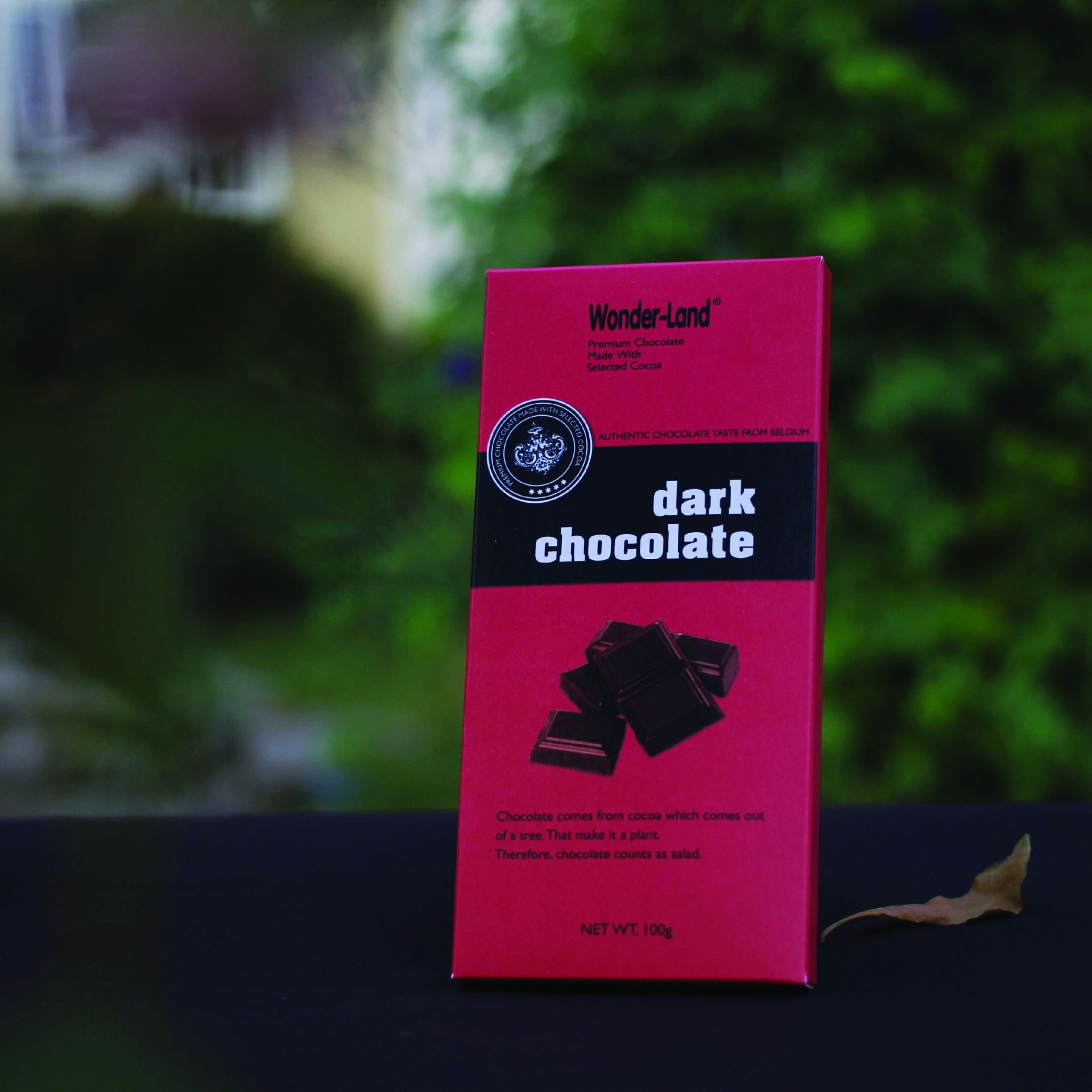 Dark Chocolate wonder-land 100G